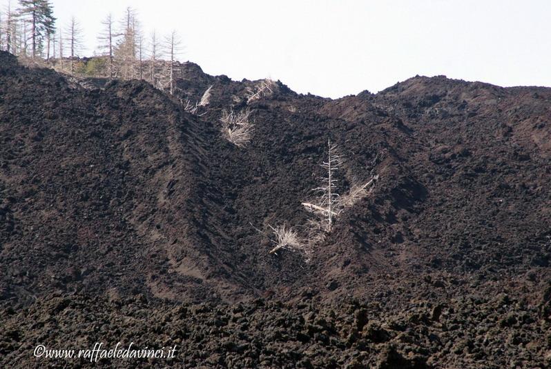 Etna1. 17mag08 (222)_ridimensionare_ridimensionare.jpg